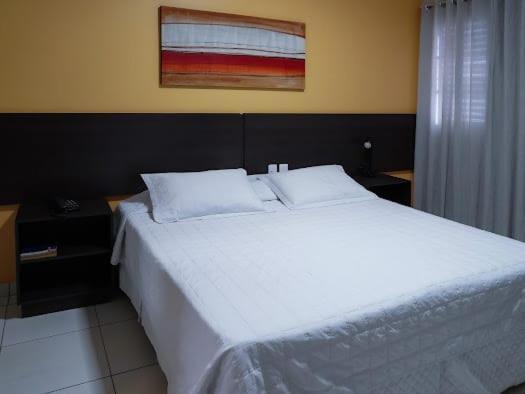 Attie Park Hotel Uberlândia エクステリア 写真